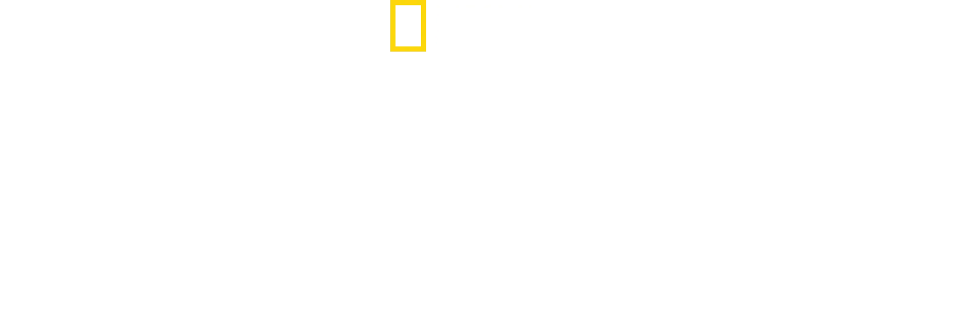 Duelo de tiburones