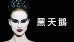 thumbnail - 黑天鵝