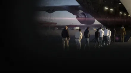 Immigration Crackdown