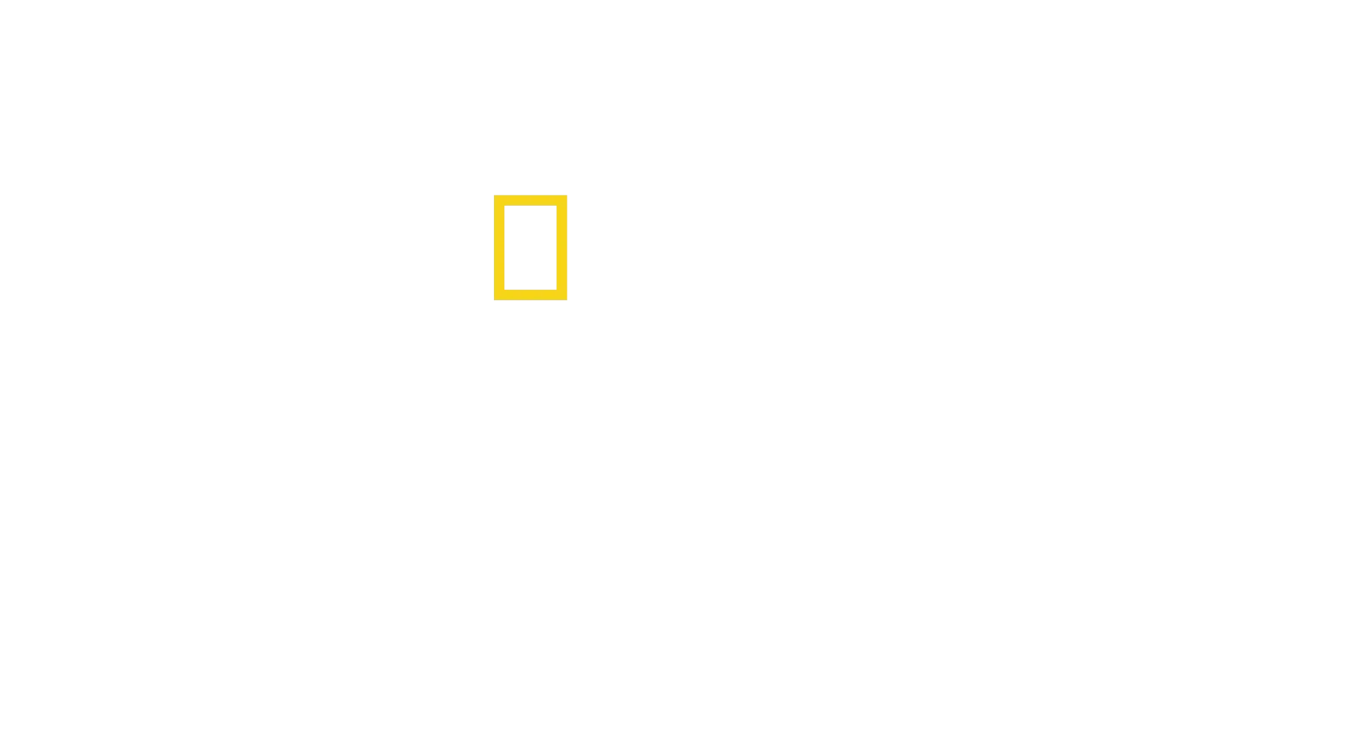 Cocinas de emergencia