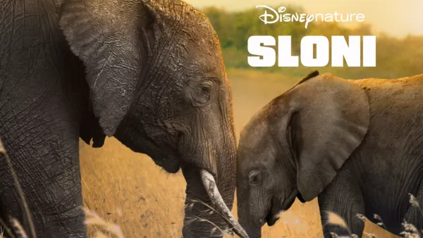 thumbnail - Sloni