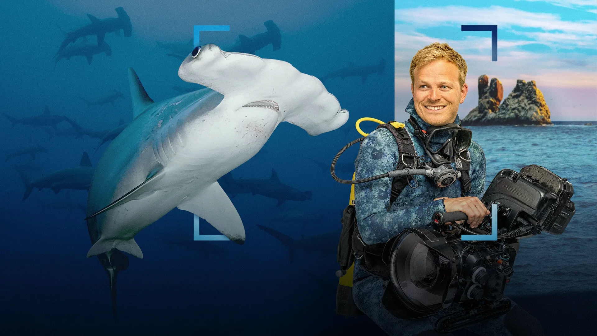 A split-screen image featuring a hammerhead shark swimming through murky blue water on the left, and Bertie Gregory holding a large underwater camera casing with rocky ocean stacks behind him on the right.