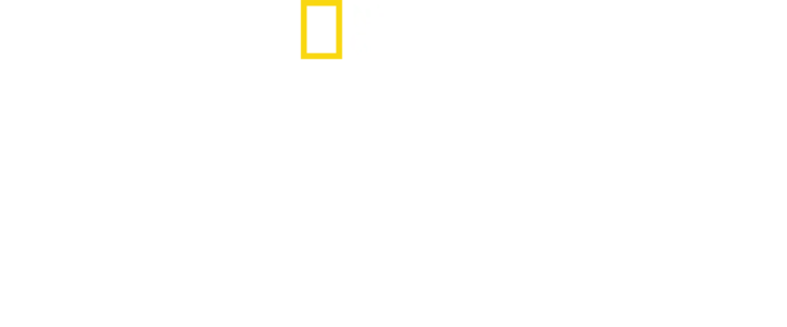 Απόλυτο Ταξίδι Επιβίωσης: Β' Παγκόσμιος Πόλεμος