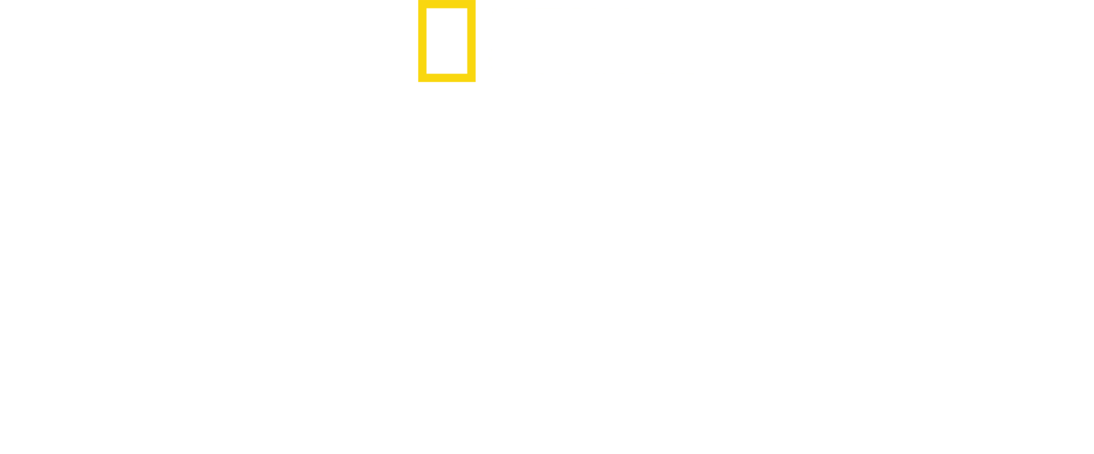 Απόλυτο Ταξίδι Επιβίωσης: Β' Παγκόσμιος Πόλεμος
