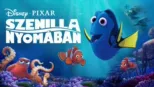thumbnail - Szenilla nyomában