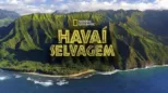 thumbnail - Havaí Selvagem
