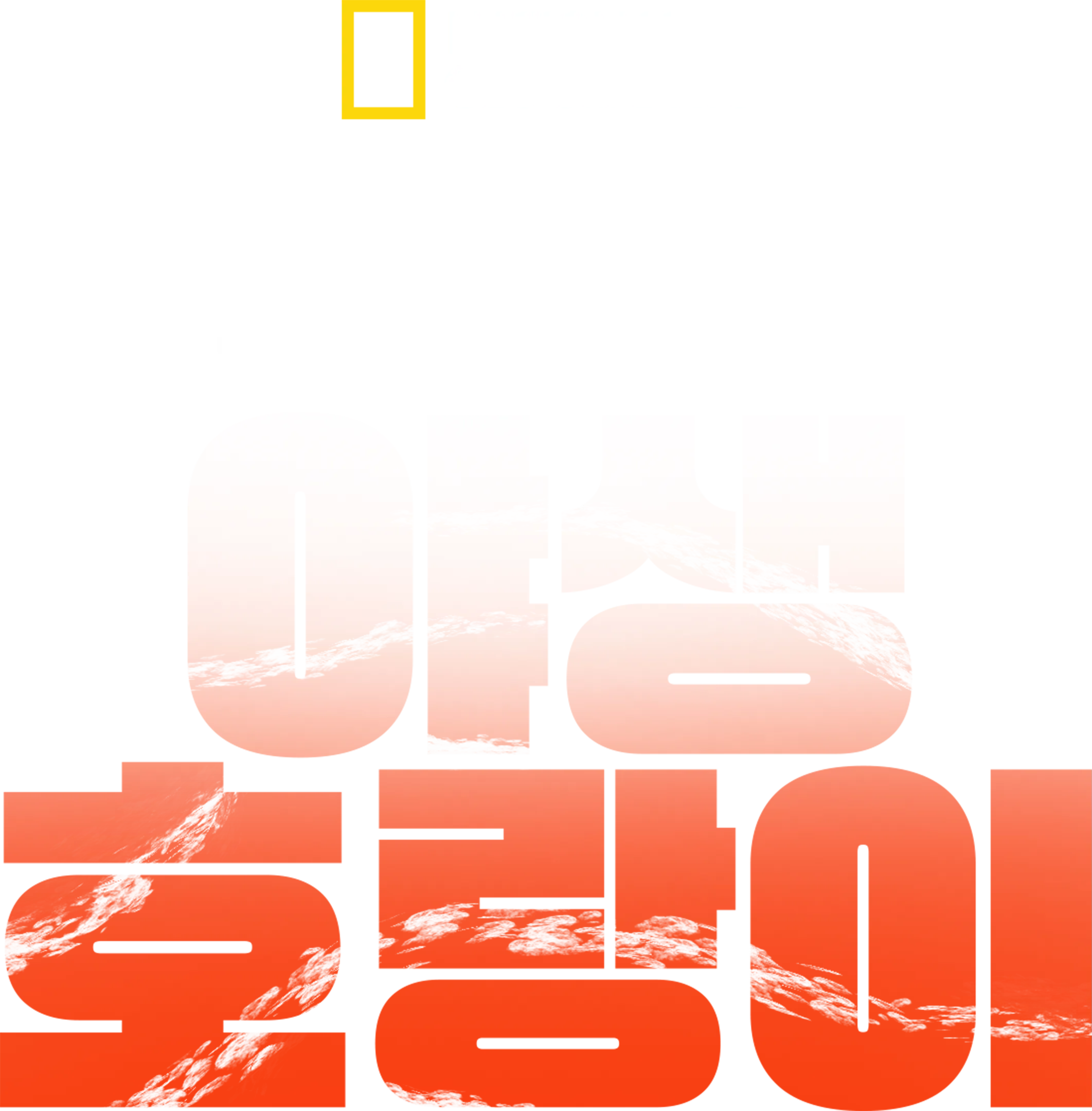 러시아의 야생 호랑이