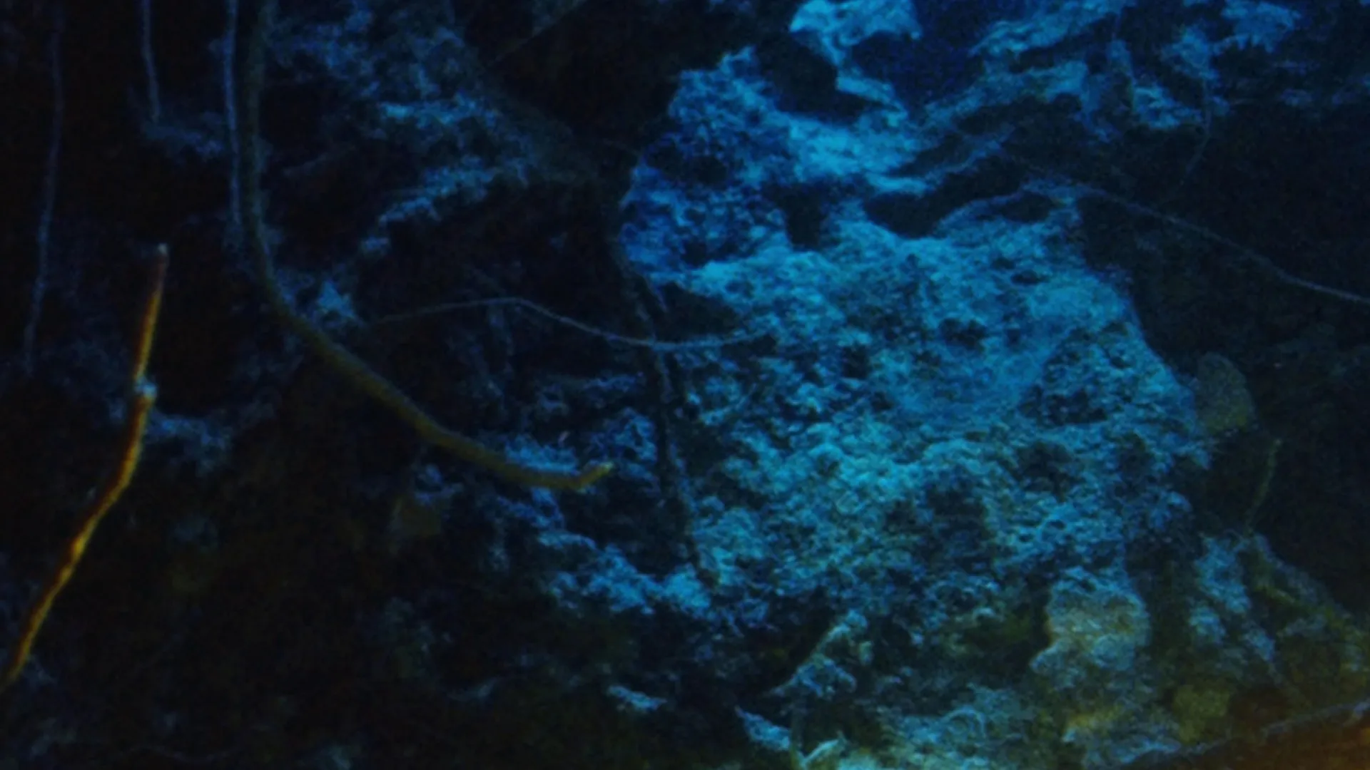 thumbnail - S1:E3 Submarine Diving In The Galapagos