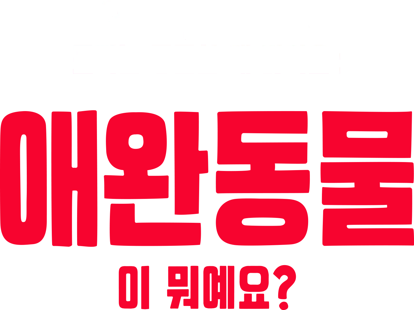 포키는 궁금한 게 많아요: 애완동물이 뭐예요?