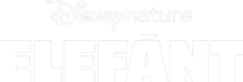 Elefánt