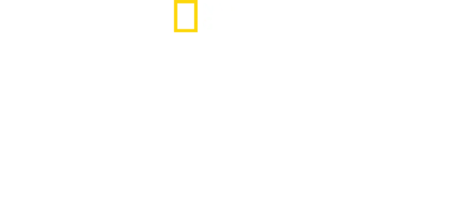 Dra. K: Animales exóticos