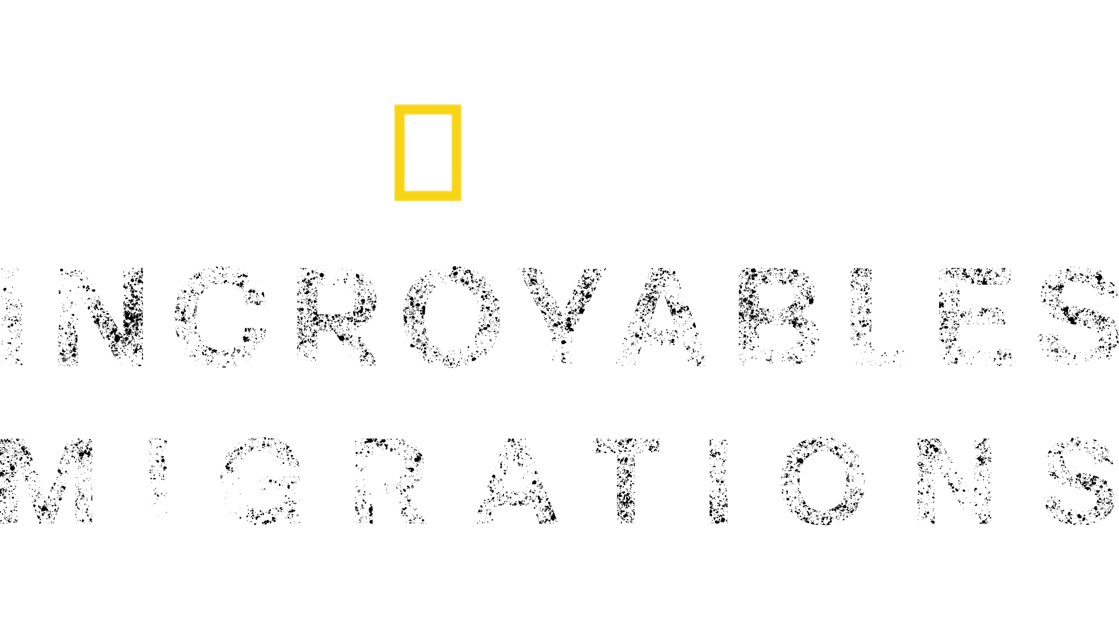 Incroyables migrations