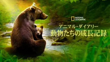 thumbnail - アニマル・ダイアリー 動物たちの成長記録