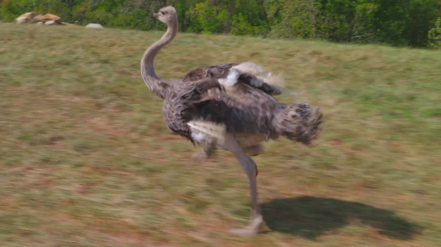 thumbnail - S3:E7 The Otter Limits