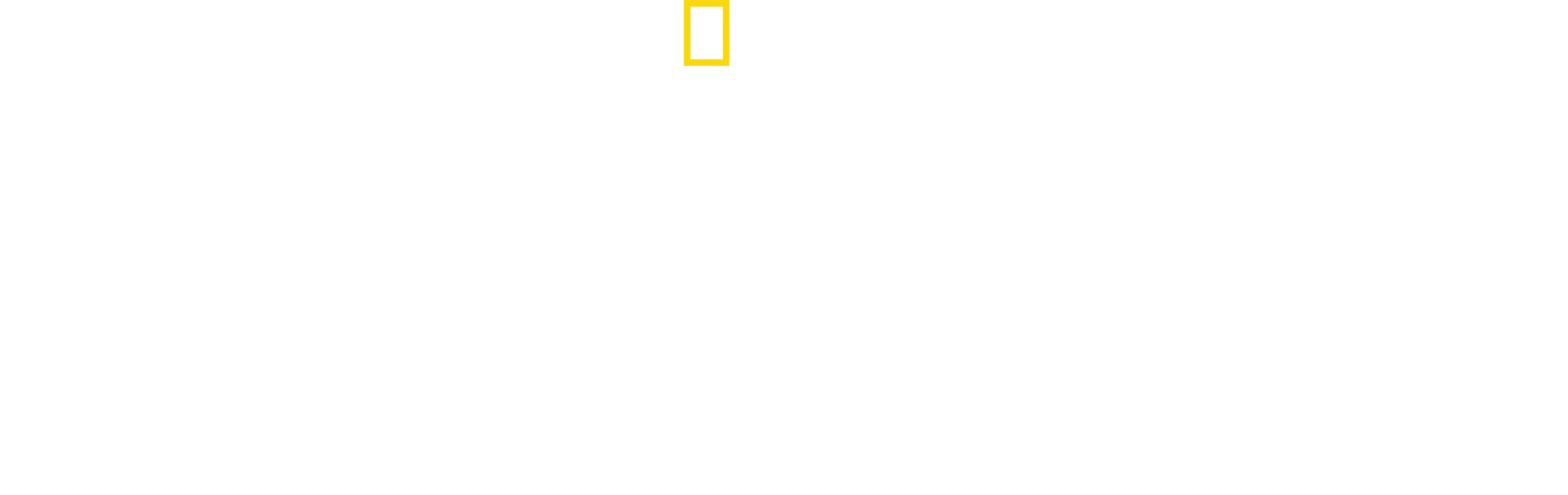 街头科学实验室