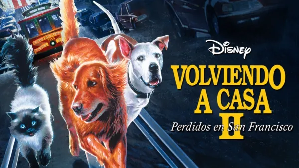 thumbnail - Volviendo a casa 2: Perdidos en San Francisco
