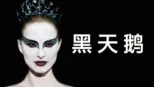 thumbnail - 黑天鹅