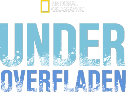 Under overfladen