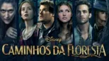 thumbnail - Caminhos da Floresta