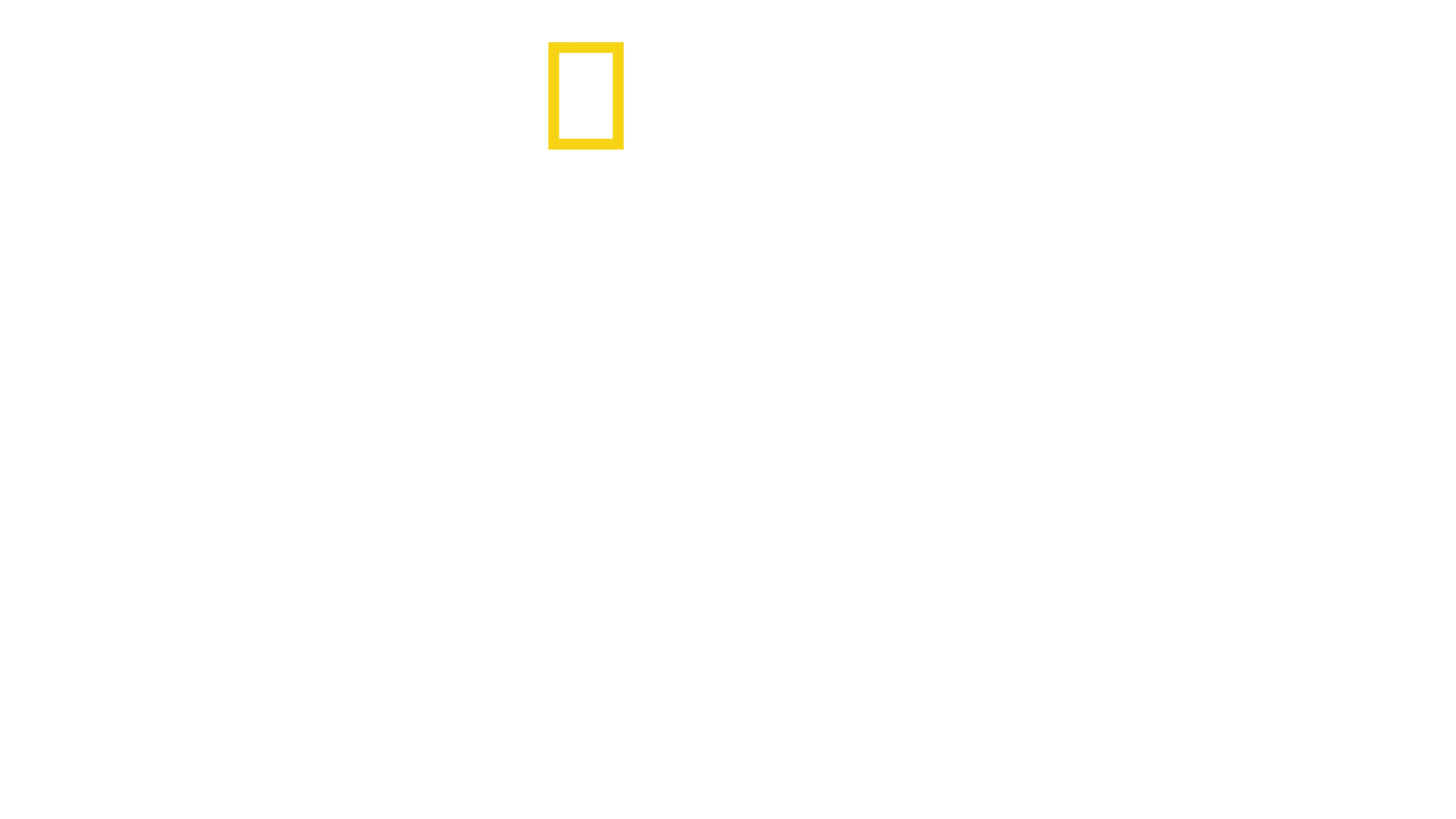 ライバルが暴く 真実と秘密