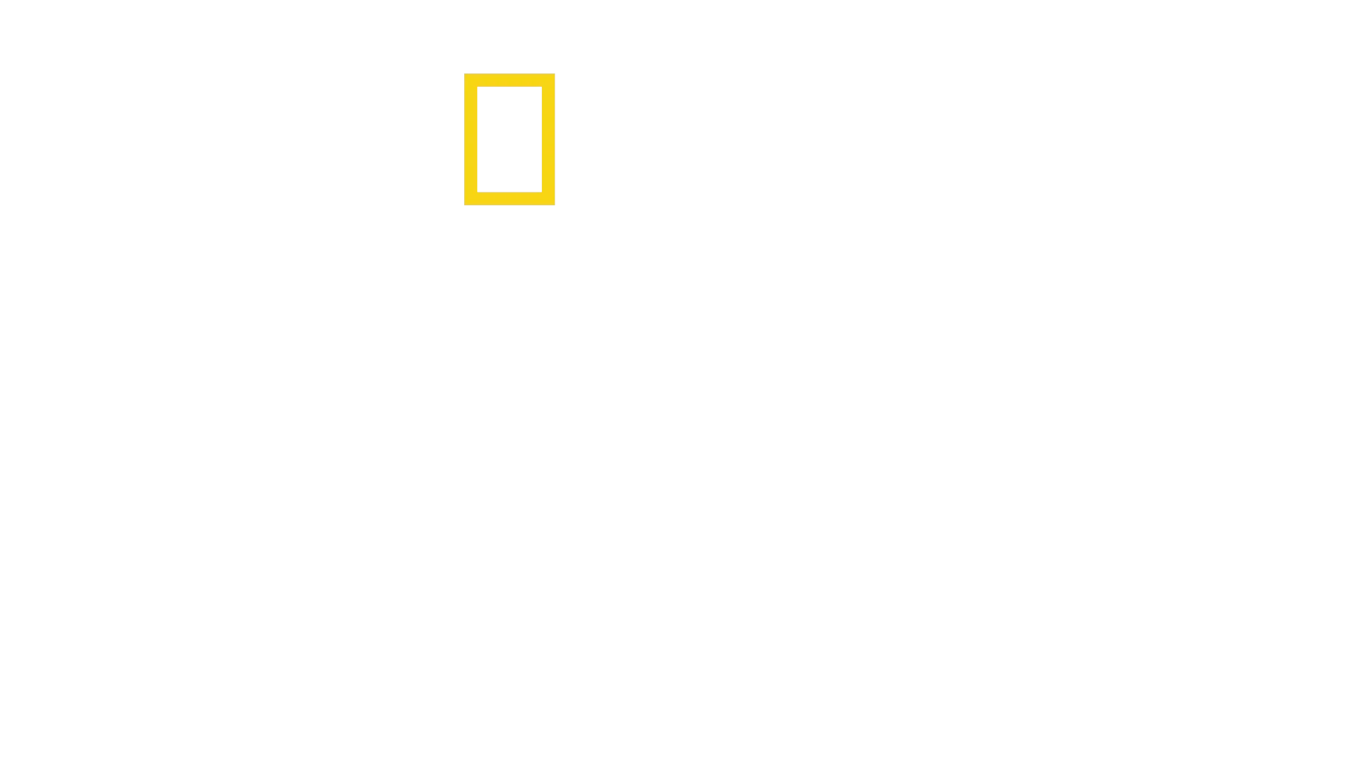 Expédition Amelia