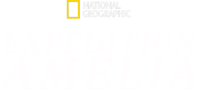 Expédition Amelia