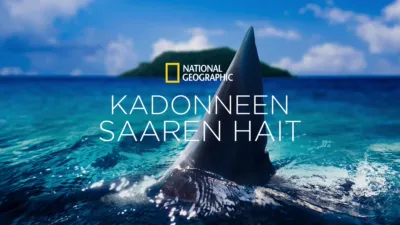 Kadonneen saaren hait