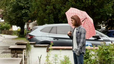 Frühling - Blick ins Morgen