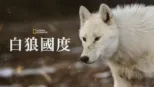 thumbnail - 白狼國度