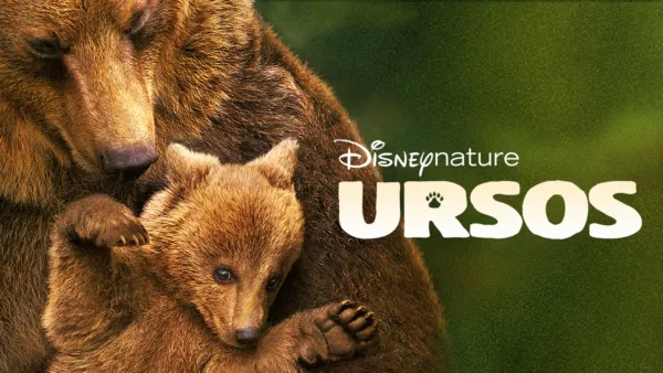 thumbnail - Ursos