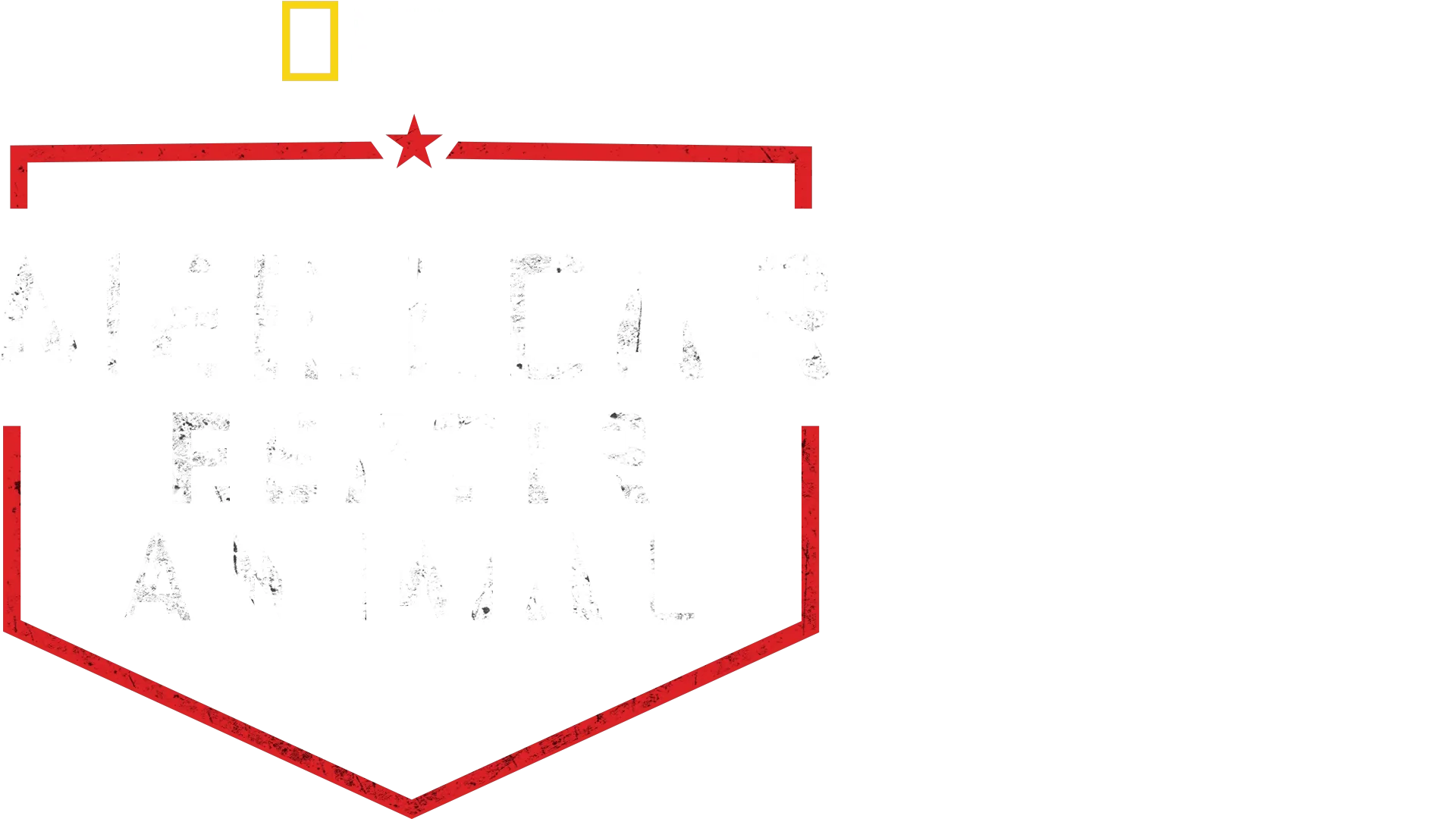 Meilleur espoir animal