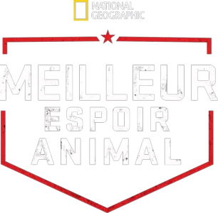 Meilleur espoir animal
