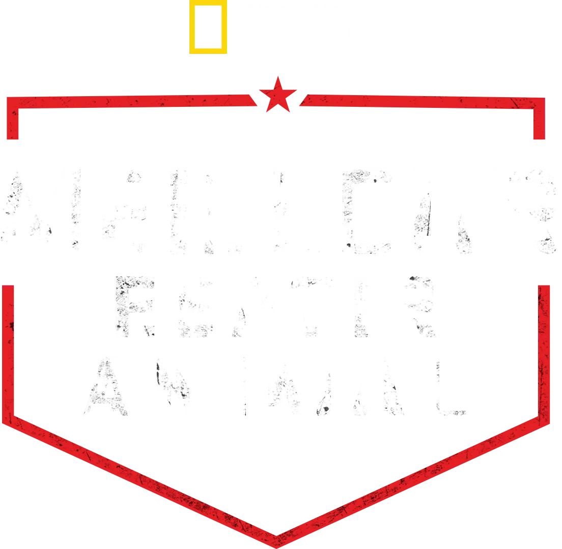 Meilleur espoir animal