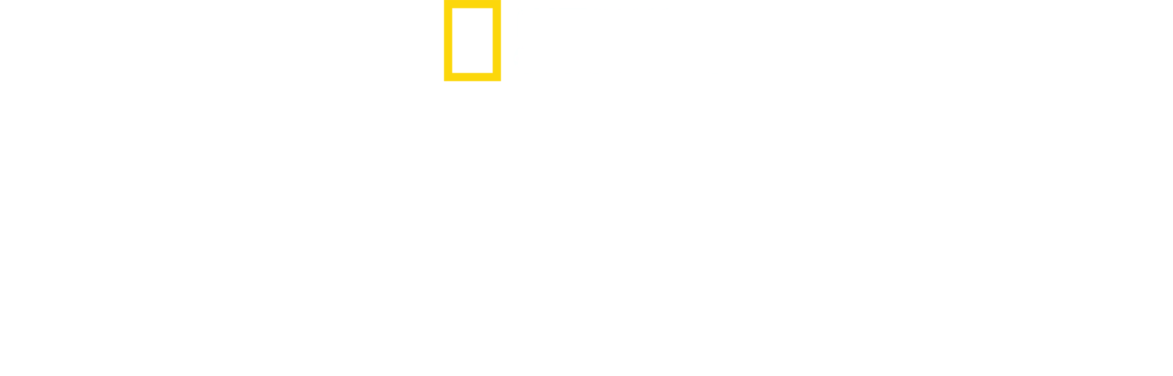 消失的北極