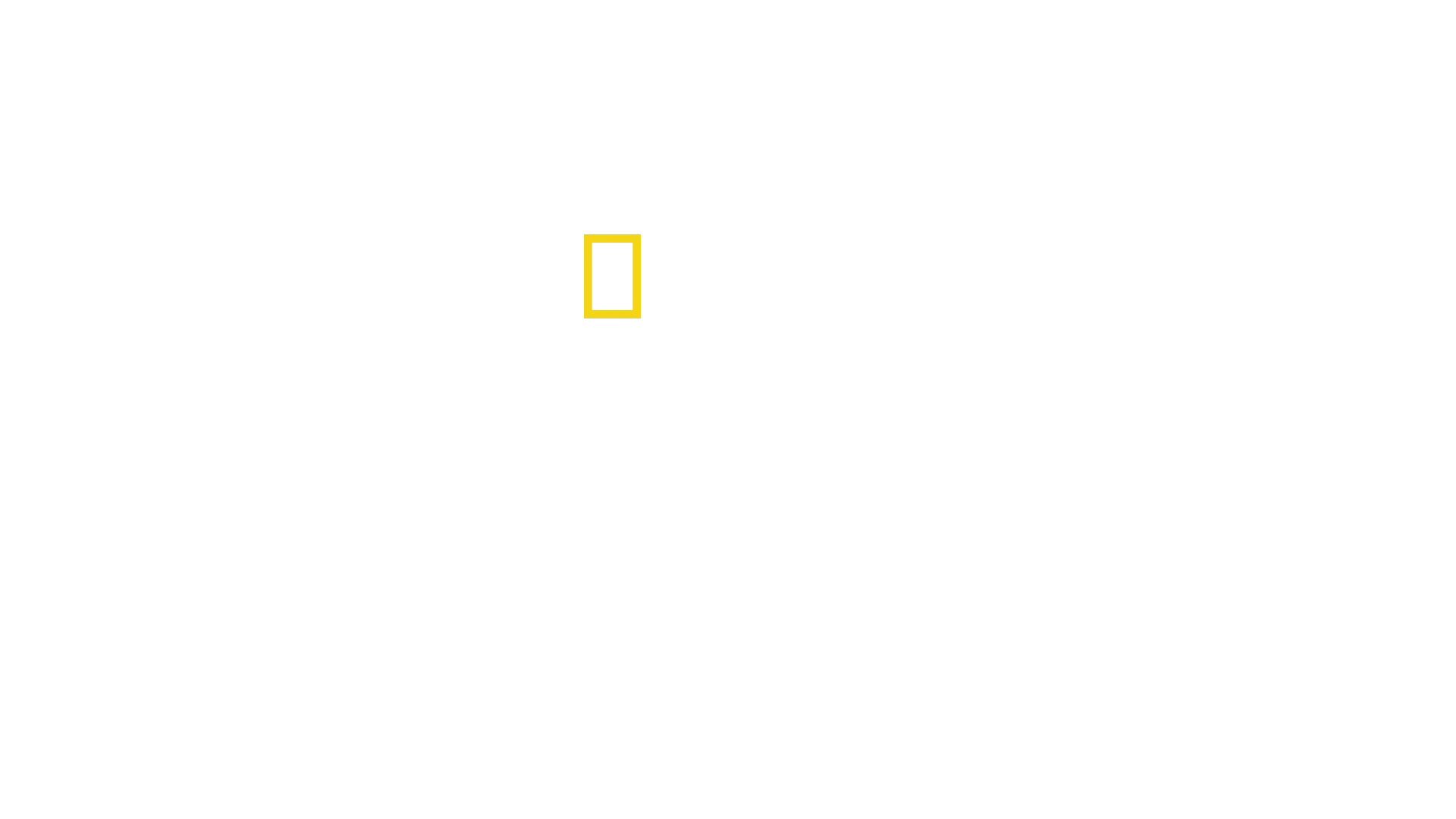 The Flagmakers: Os Fabricantes da Bandeira Americana