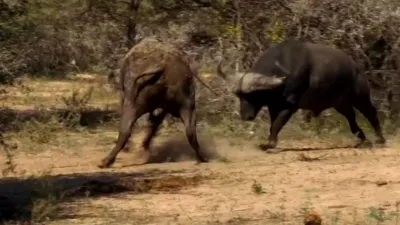 thumbnail - S6:E8 United We Stand