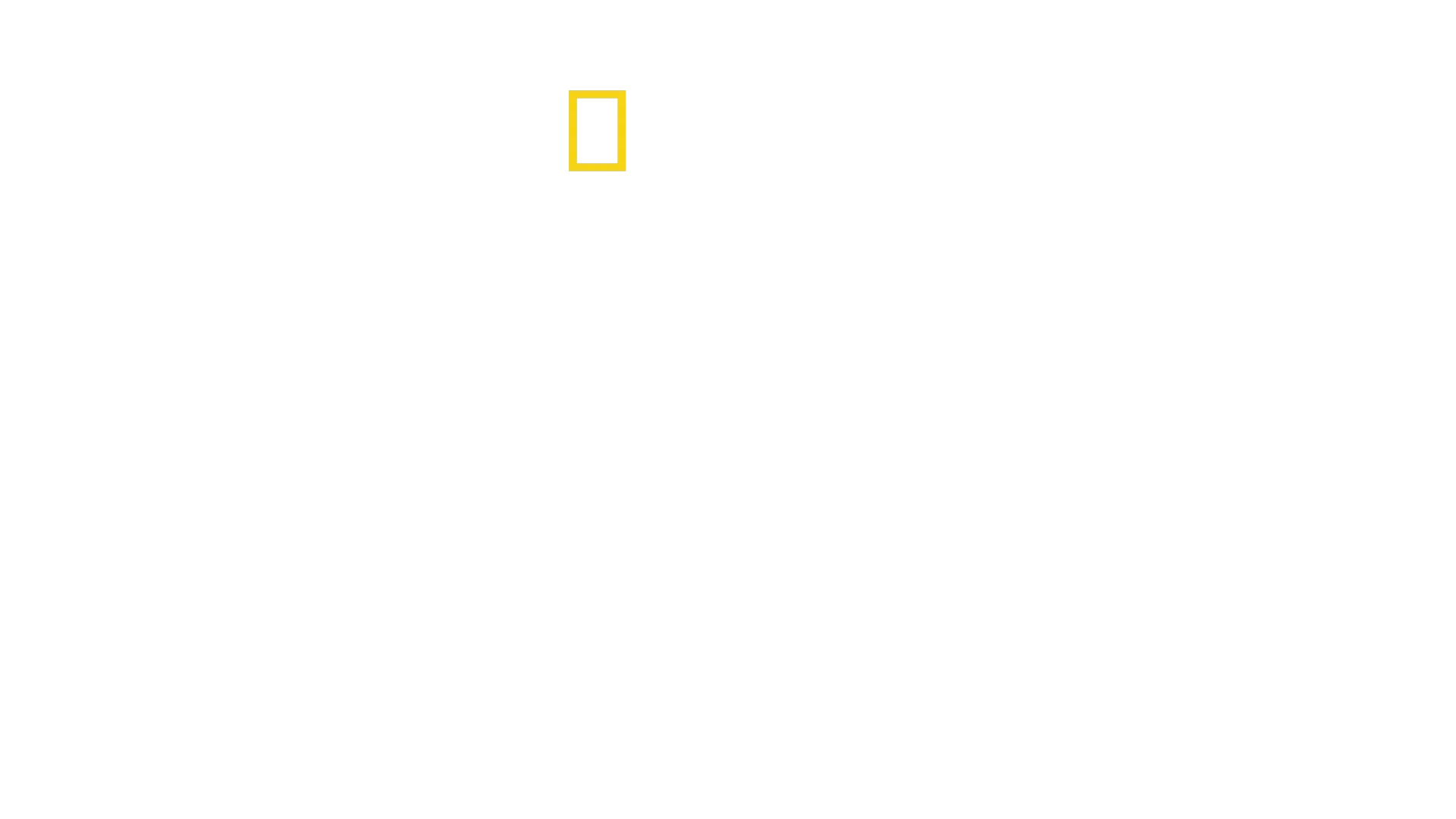 Fernab des Gesetzes