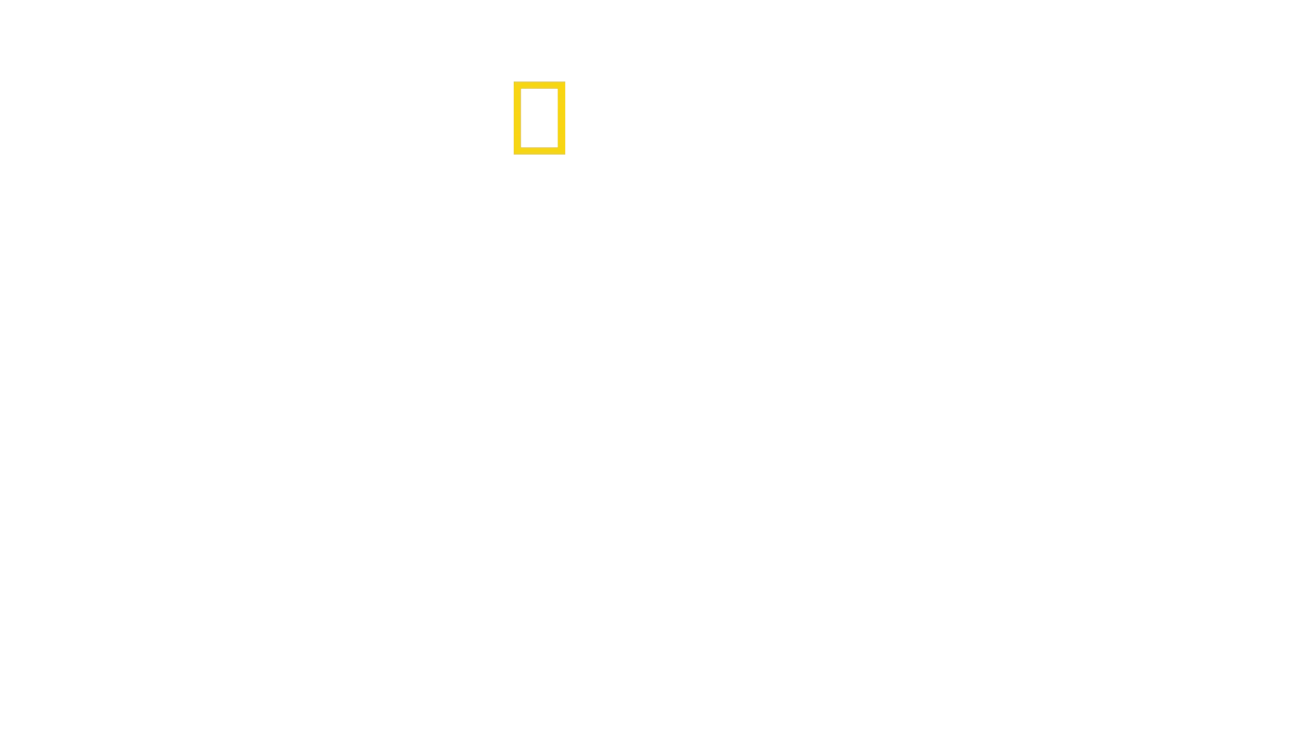 Fernab des Gesetzes