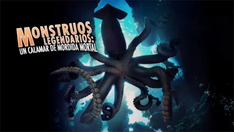 thumbnail - MonsterQuest: Predators of the Deep