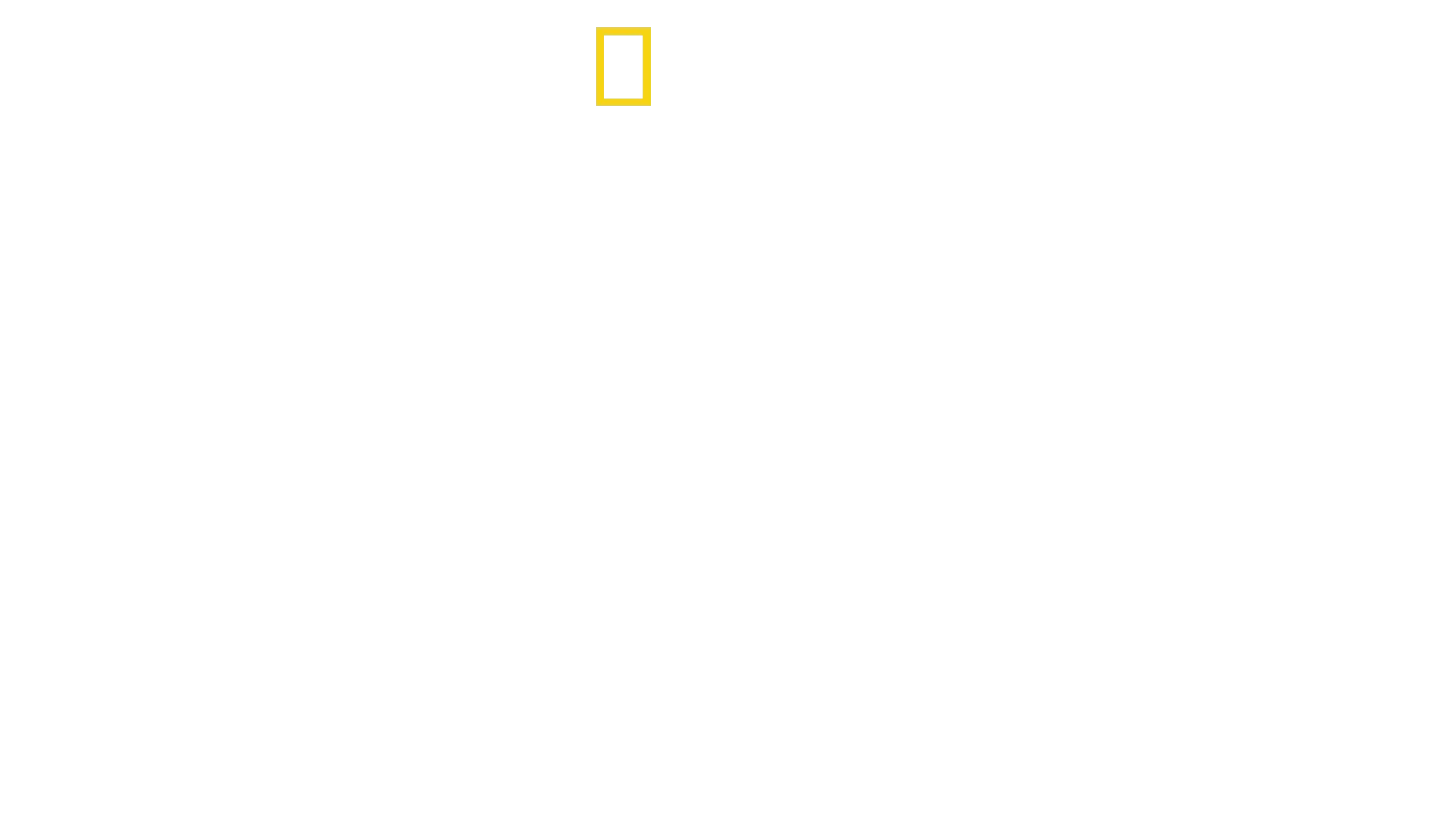 Haie - Die ultimativen Jäger