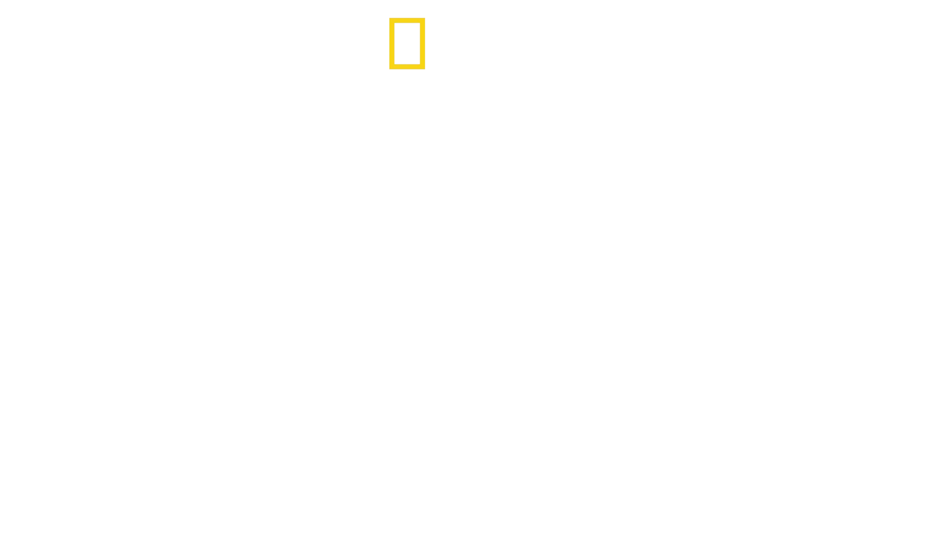 Haie - Die ultimativen Jäger