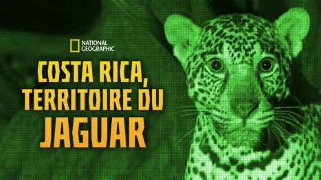 thumbnail - Jaguar Beach Battle