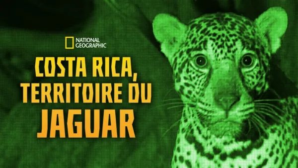 thumbnail - Jaguar Beach Battle