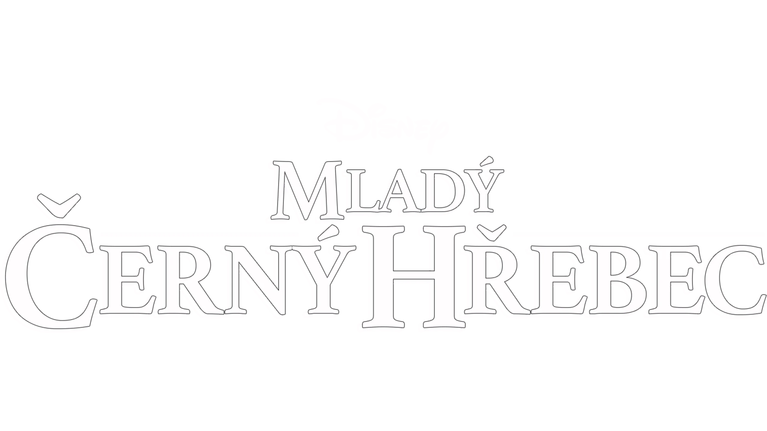 Mladý černý hřebec