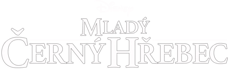 Mladý černý hřebec