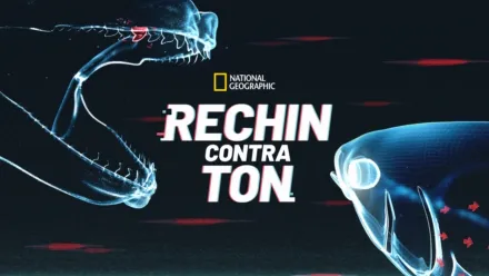 thumbnail - Rechin contra ton