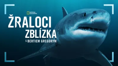 Žraloci zblízka s Bertiem Gregorym