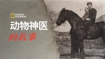 动物神医的故事