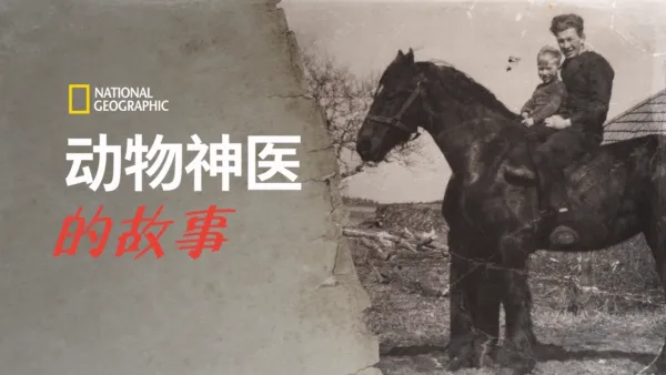 thumbnail - 动物神医的故事