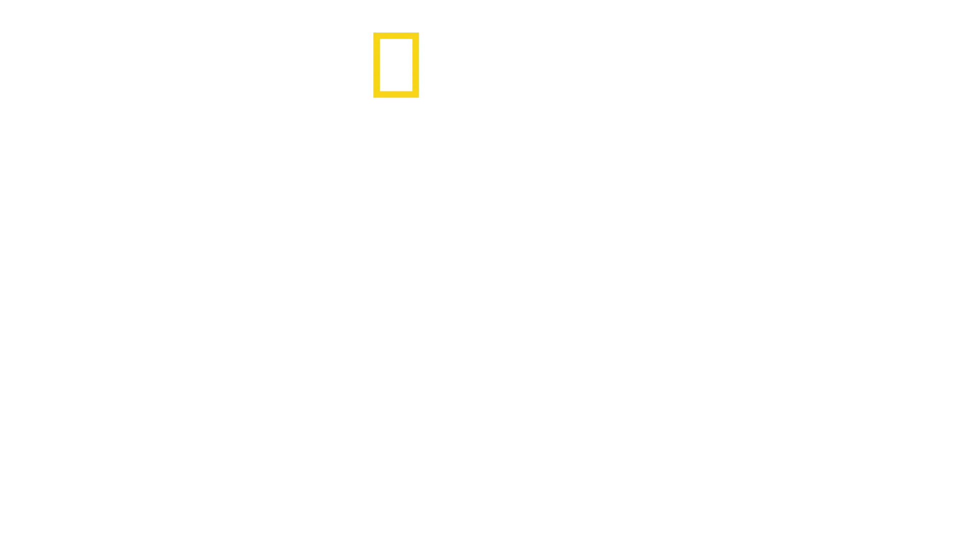 Ανατομία της Καταστροφής